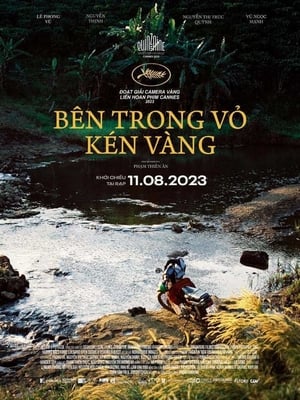 Bên trong vỏ kén vàng 2023