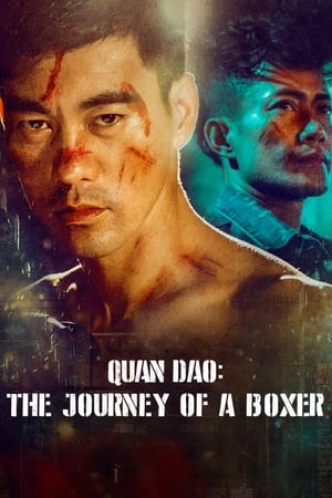 Image Quan Dao: The Journey of a Boxer