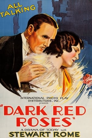 Dark Red Roses poster