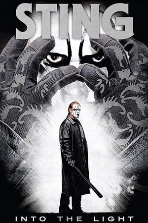 Poster Sting: Into the Light (2015)