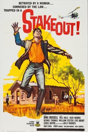 Poster Stakeout! 1962