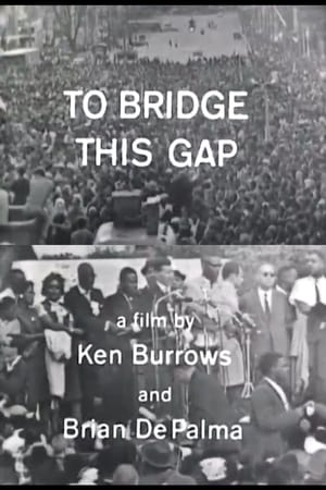 To Bridge This Gap poster