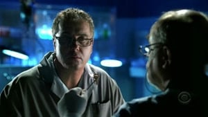 CSI: Investigação Criminal: 7×2