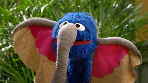 Sesame Street: 50×20