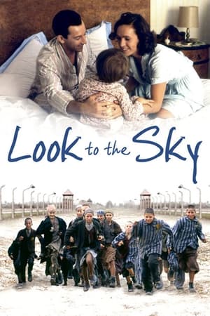 Poster Look to the Sky (1993)