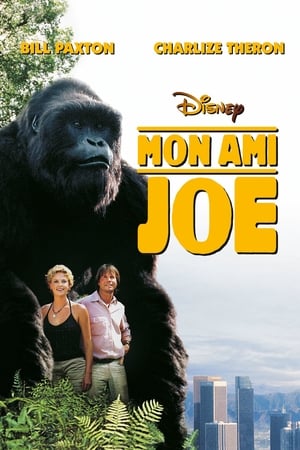 Poster Mon ami Joe 1998