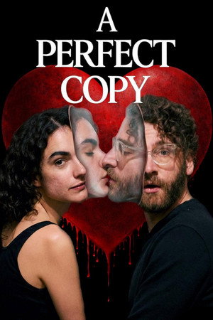 A Perfect Copy