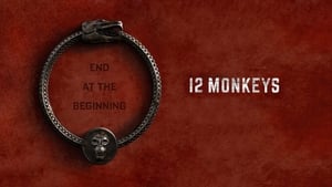 poster 12 Monkeys