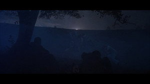 No Man’s Land (2001)