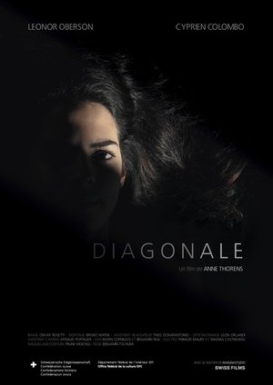 Poster Diagonale (2019)