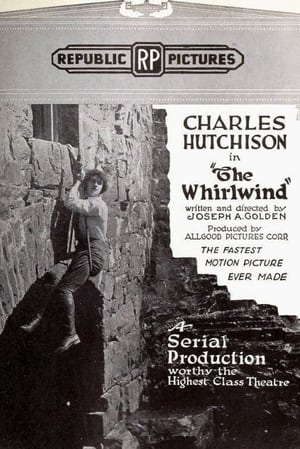 Poster The Whirlwind (1920)