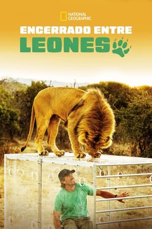 Poster Man V. Lion 2014