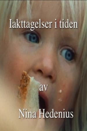 Iakttagelser i tiden