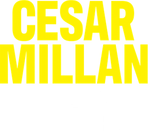 Cesar Millan: Better Human, Better Dog — Logos 11
