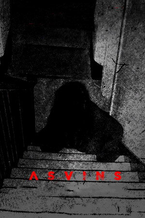 Asvins 14