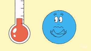 Barbapapa: One Big Happy Family!: 2×48