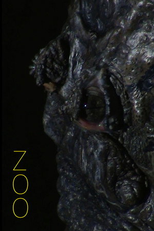Zoo