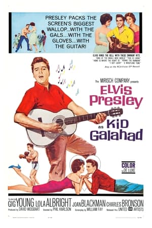 Poster Kid Galahad 1962