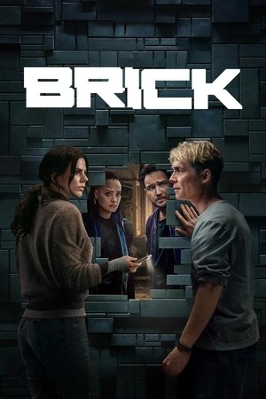 Image Brick