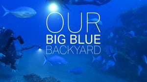 Our Big Blue Backyard film complet