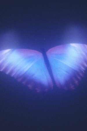 Nonton film Futura's Odyssey (2023) terbaru sub indo Nonton film Futura's Odyssey (2023) terbaru sub indo