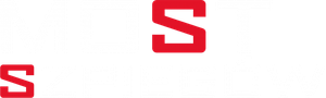 Ponte dos Espiões — Logos 10