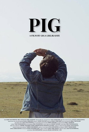 Pig 6