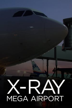 Image X-Ray Mega Airport
