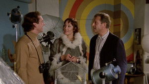 The House at Christianshavn: 8×3