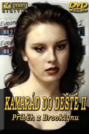 Kamarád do deště II: Příběh z Brooklynu poster