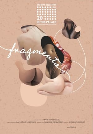 Poster di Fragments