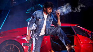 Mana Shankara Vara Prasad Garu (2026) [Hindi + Telugu]