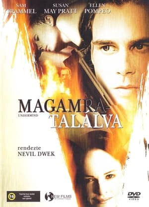 Poster Magamra találva 2003