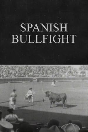 Poster Spanish Bullfight 1900