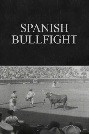 Image Spanish Bullfight