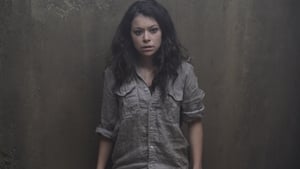 Orphan Black Scarred by Many Past Frustrations