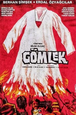 Gömlek 2
