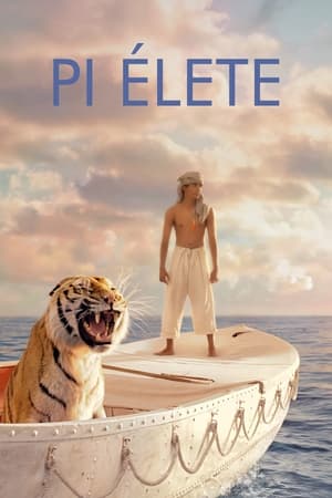 Pi élete (2012)