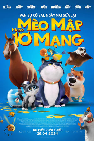Poster Mèo Mập Mang 10 Mạng 2024