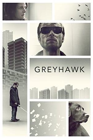 Poster Greyhawk (2014)