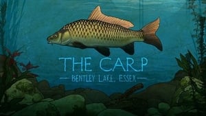 Mortimer & Whitehouse: Gone Fishing The Carp: Bentley Lake, Essex