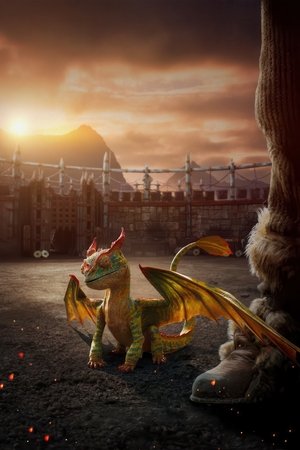 <Images posters