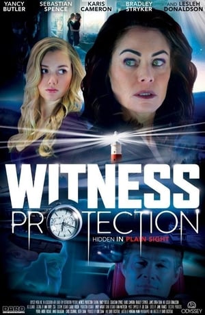 Poster Witness Protection (2017)