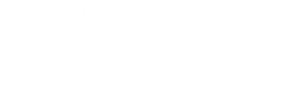 Transgender Twins