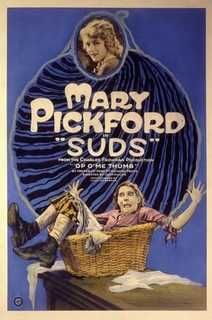 Poster Suds (1920)