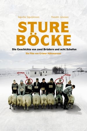 Image Sture Böcke