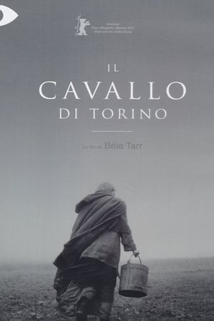 Poster Il cavallo di Torino 2011