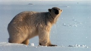 Arctic Secrets Devon Island: Land of Ice