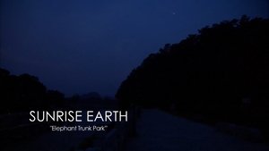 Elephant Trunk Park | StreamHub