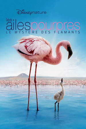 The Crimson Wing: Mystery of the Flamingos 20